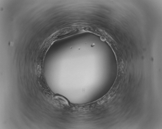 X0000078840821200611271319