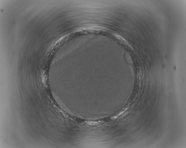 X0000078840822200611271320