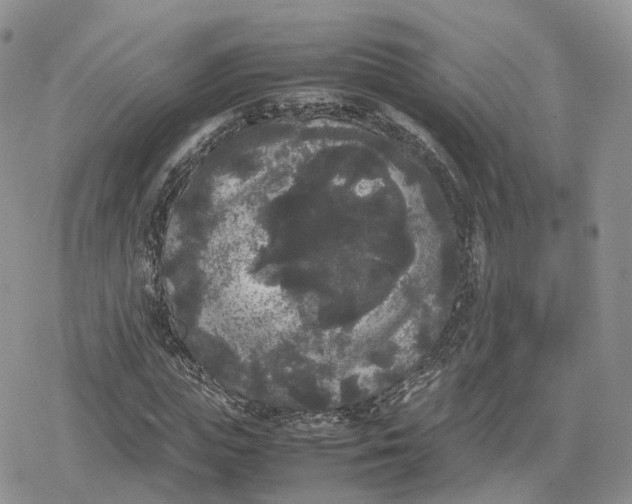 X0000078840823200611271320