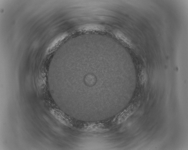 X0000078840824200611271320