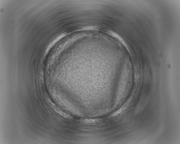 X0000078840827200611271320