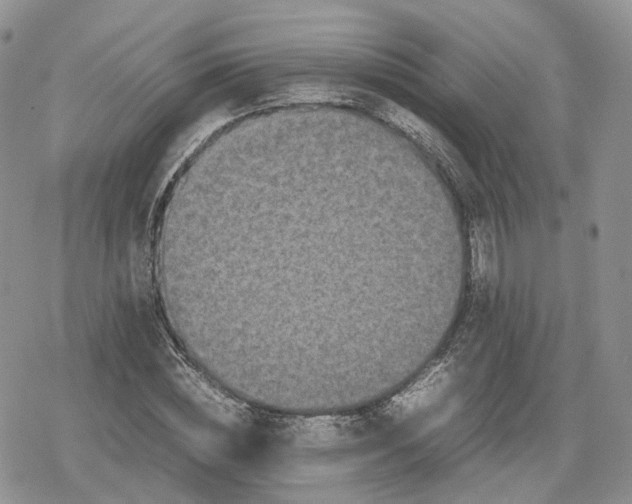 X0000078840828200611271320