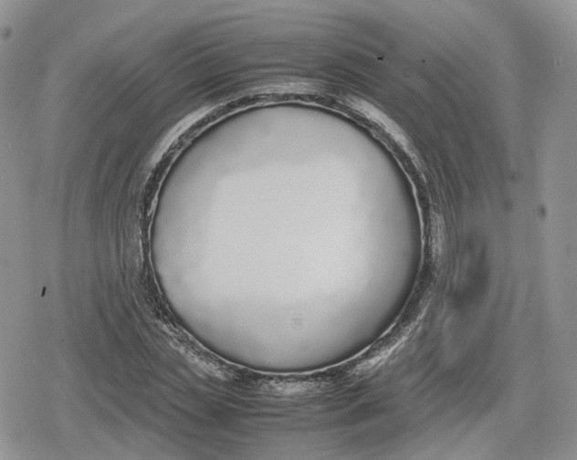 X0000078840829200611271320