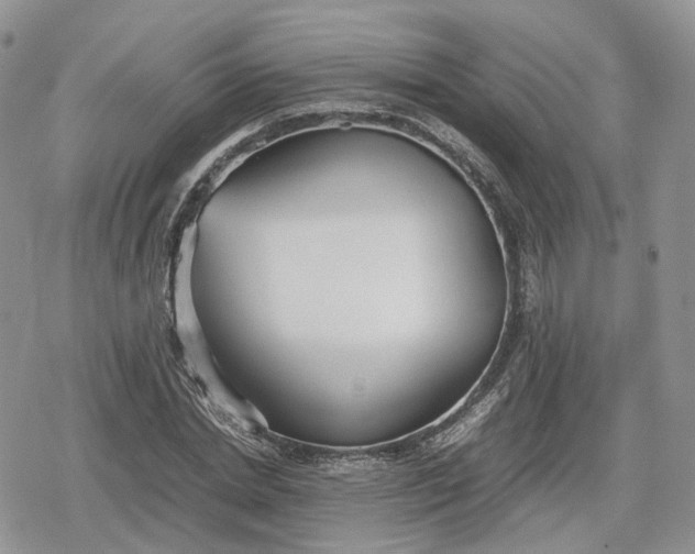 X0000078840830200611271320