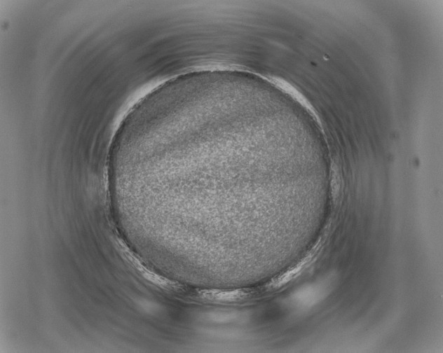 X0000078840831200611271320