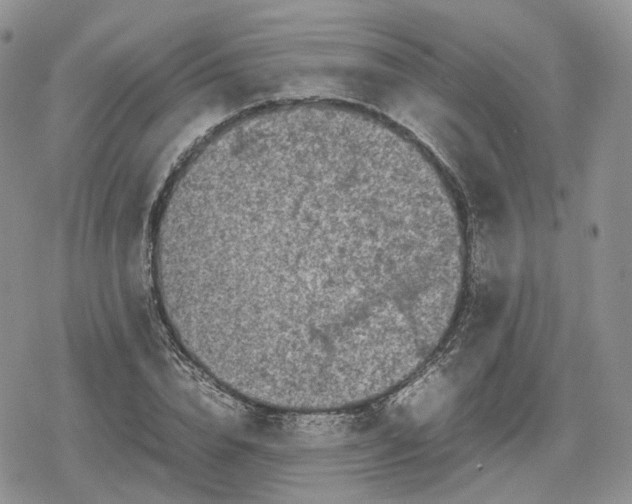 X0000078840832200611271320