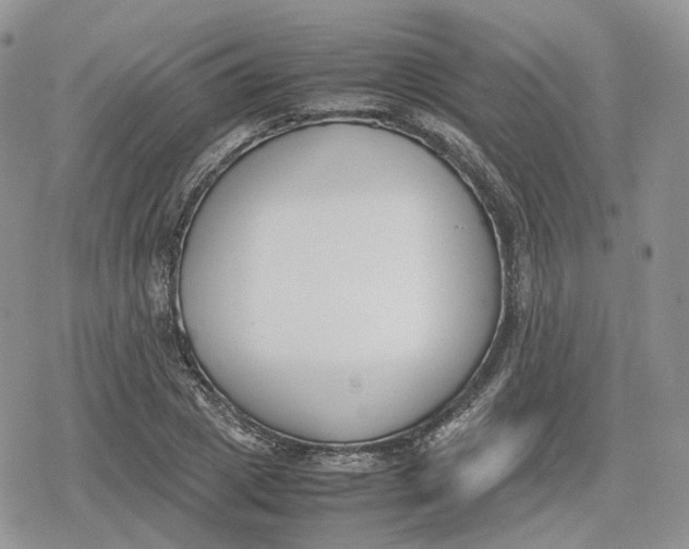 X0000078840833200611271320