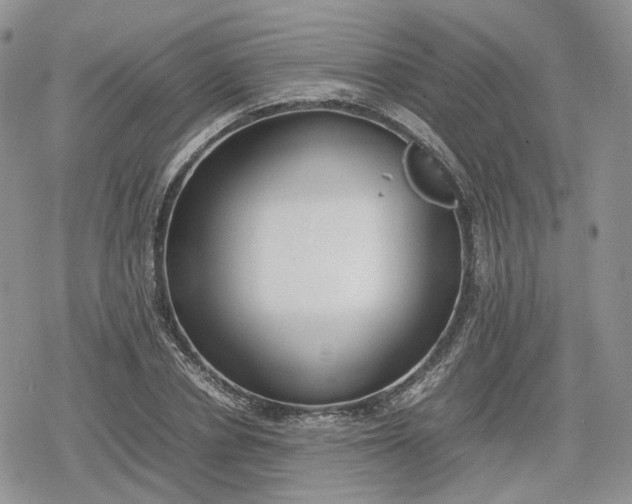 X0000078840834200611271320