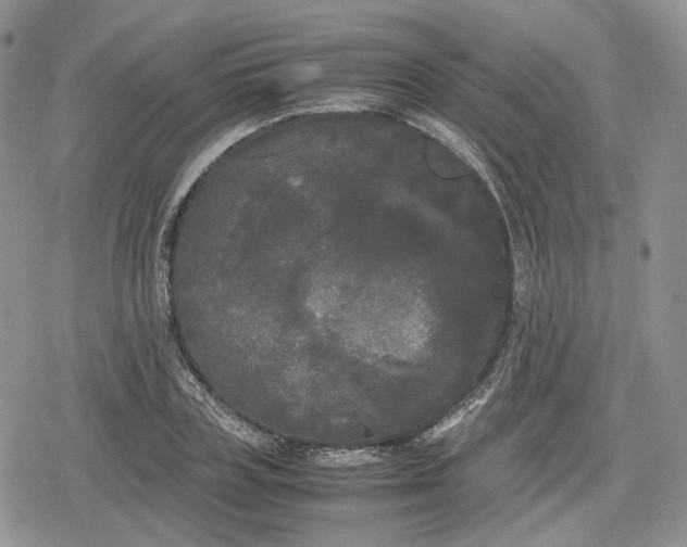 X0000078840835200611271320