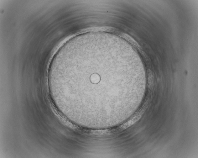 X0000078840836200611271320