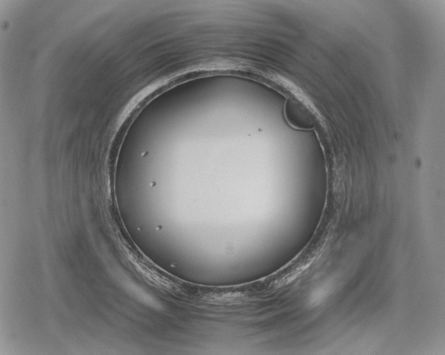 X0000078840837200611271320