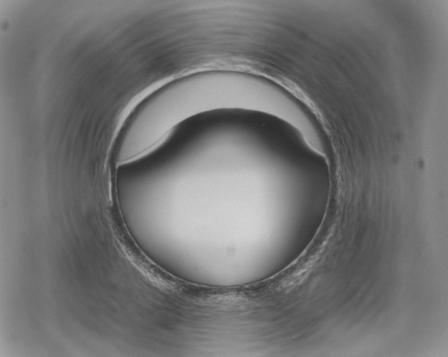 X0000078840838200611271320