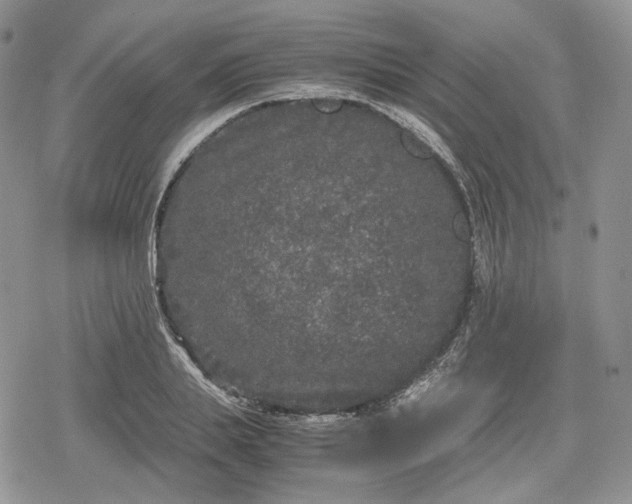 X0000078840839200611271320