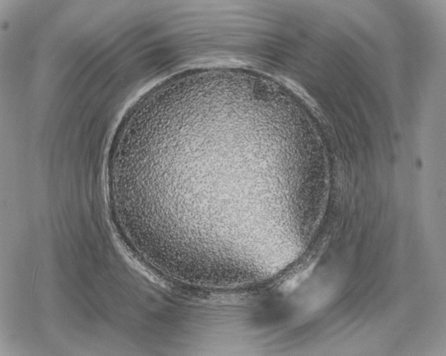 X0000078840840200611271320