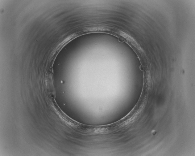 X0000078840841200611271320