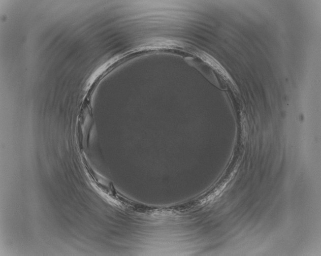 X0000078840842200611271320