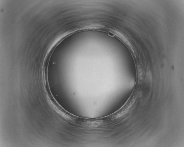 X0000078840843200611271320