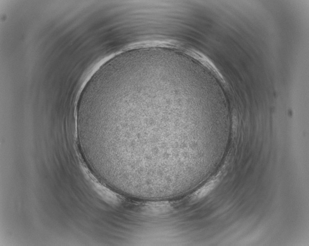 X0000078840844200611271320