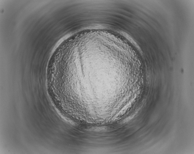 X0000078840845200611271320