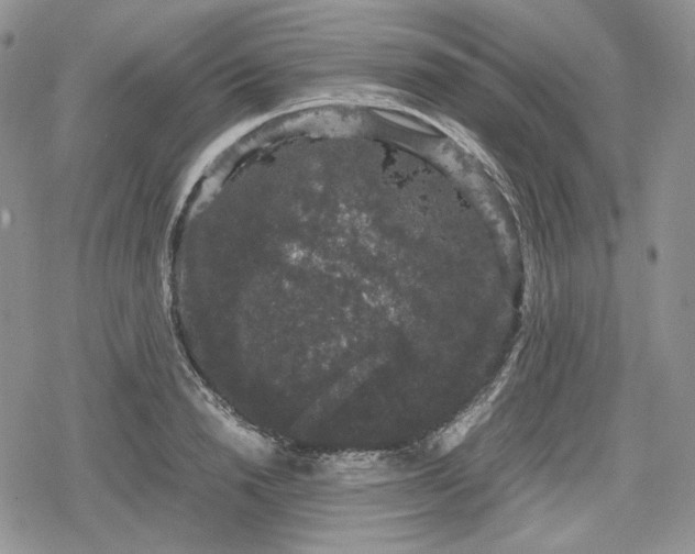 X0000078840846200611271320