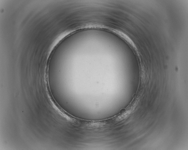 X0000078840847200611271320