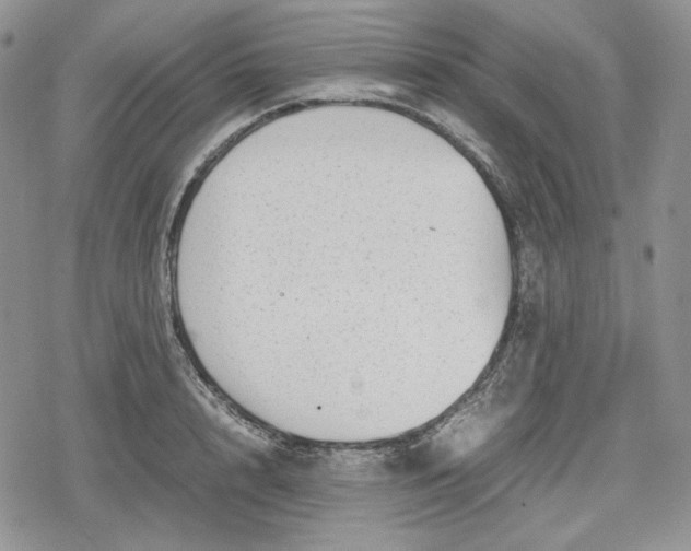 X0000078840848200611271320