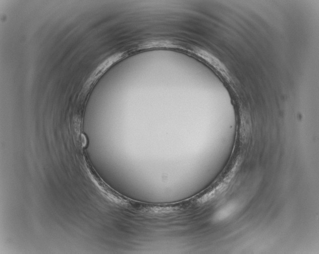 X0000078840849200611271320