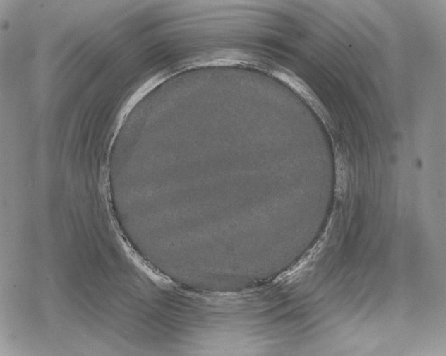 X0000078840850200611271320