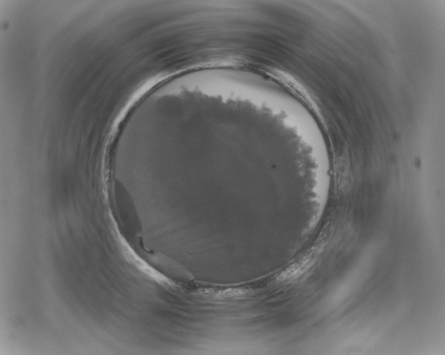 X0000078840851200611271320