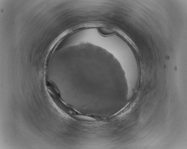 X0000078840853200611271320