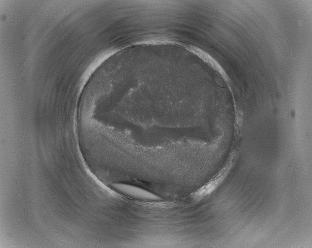 X0000078840855200611271320