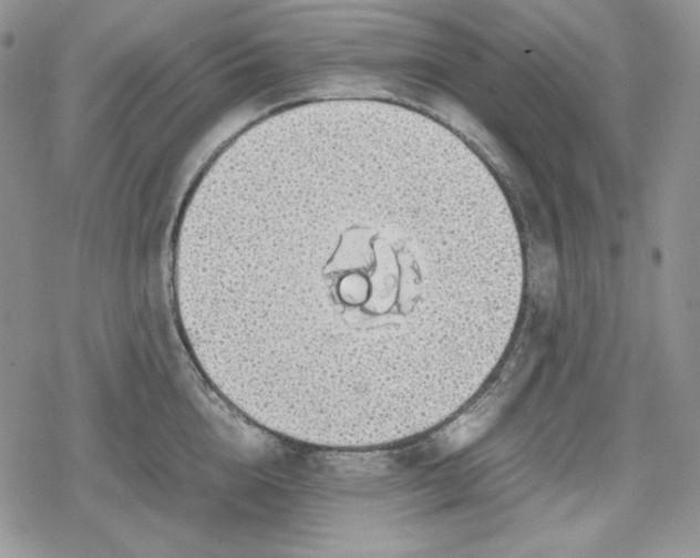 X0000078840856200611271320