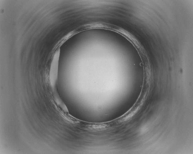 X0000078840857200611271320