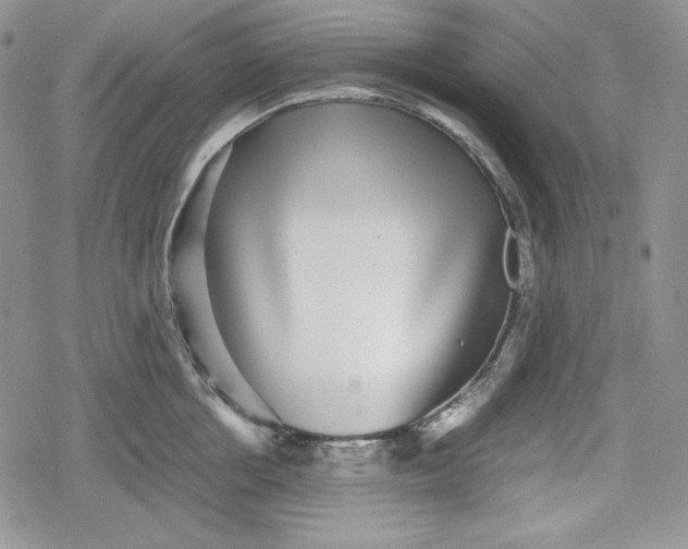 X0000078840858200611271320