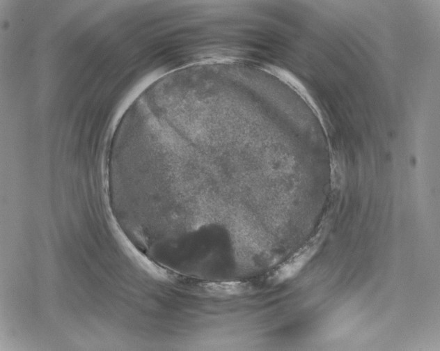 X0000078840859200611271320