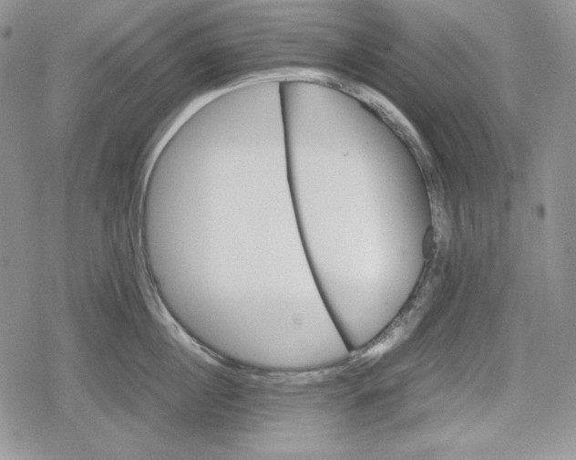 X0000078840860200611271320