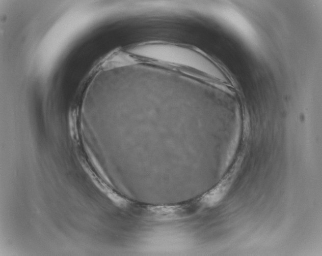 X0000078840862200611271320