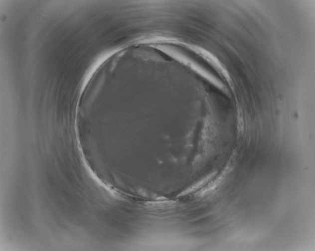 X0000078840863200611271320