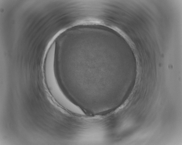 X0000078840864200611271320