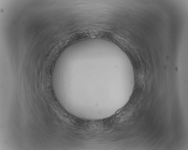 X0000078840865200611271319