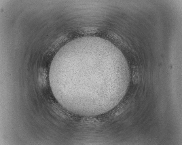 X0000078840866200611271319