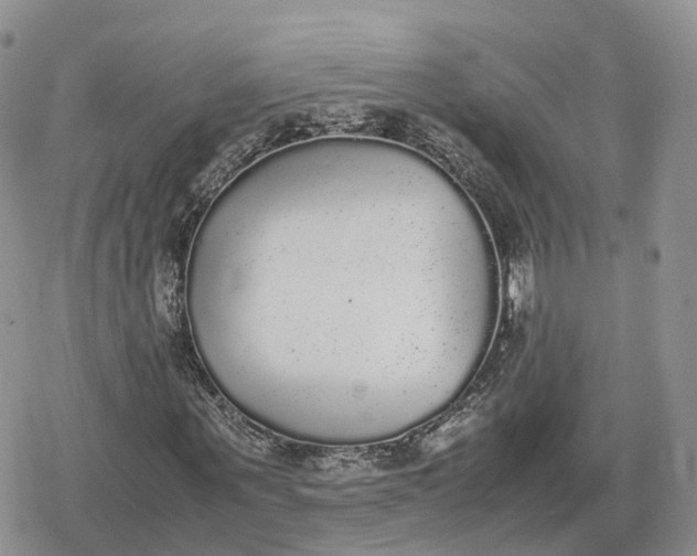 X0000078840867200611271319