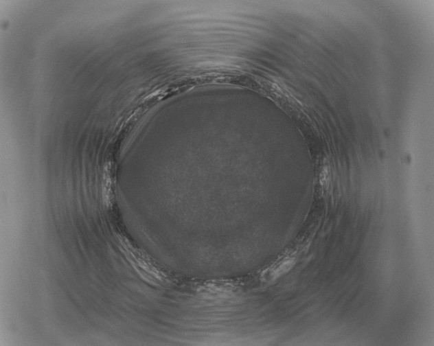 X0000078840868200611271319