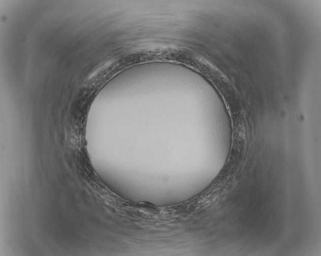 X0000078840869200611271319