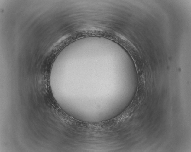 X0000078840870200611271319