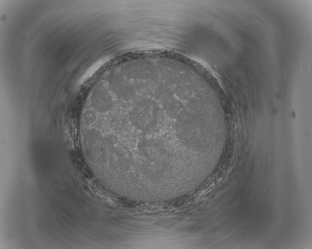 X0000078840871200611271319