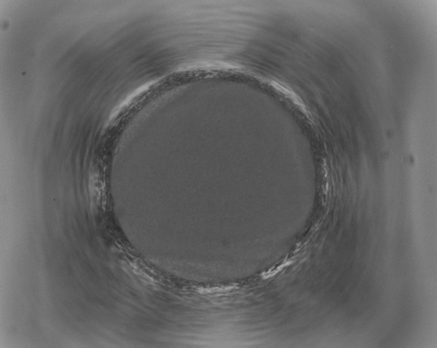 X0000078840872200611271319