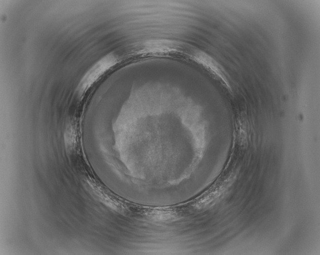 X0000078840874200611271319