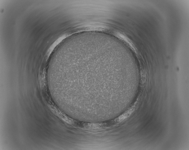 X0000078840875200611271319