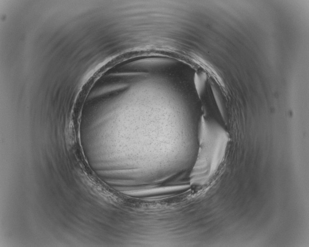 X0000078840876200611271319